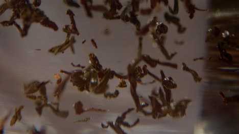 macro disparo de hojas de té cayendo lentamente y flotando hacia el fondo del vaso