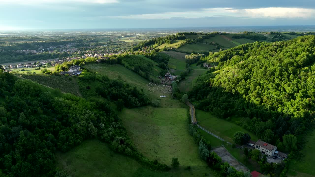 Aerial drone pull out reveals green Arda Valley with hillside vineyards, scattered farmhouses, and a herd of sheep grazing, opening to the wide Padania Plain under dramatic afternoon light in Italy