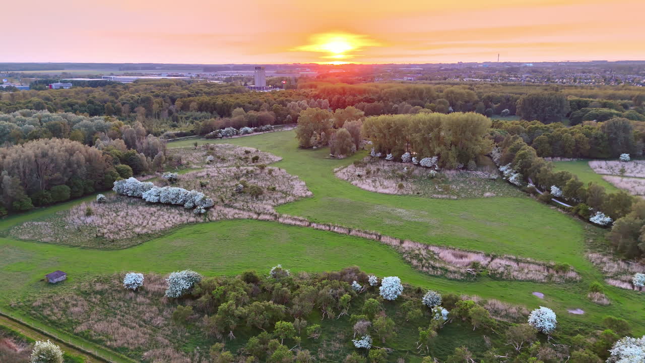 Meadow in the park surrounded by lush green forest. Aerial perspective on the countryside at sunset.