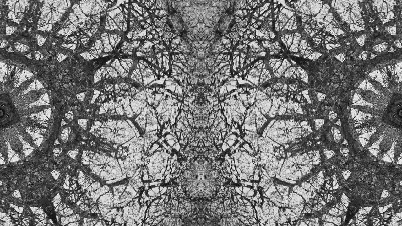 árboles en simetría - en bucle