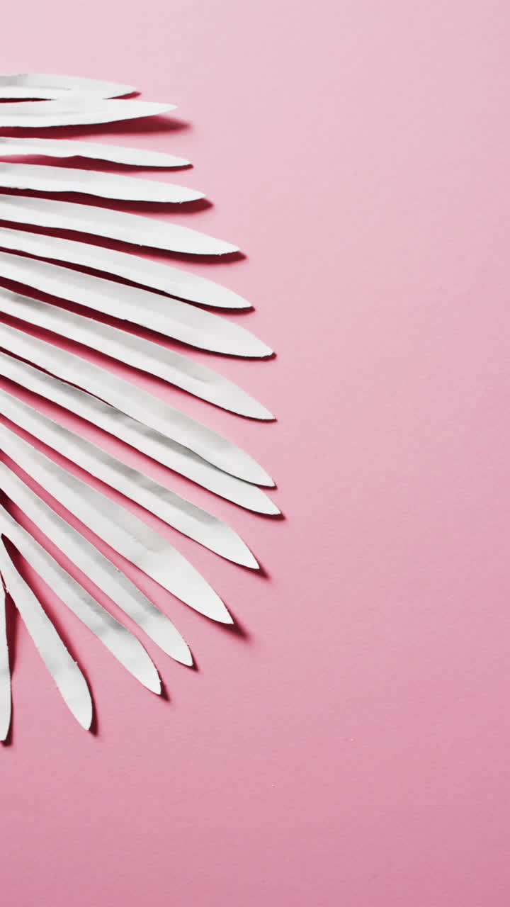 Vertical video of white leaves with copy space on pink background