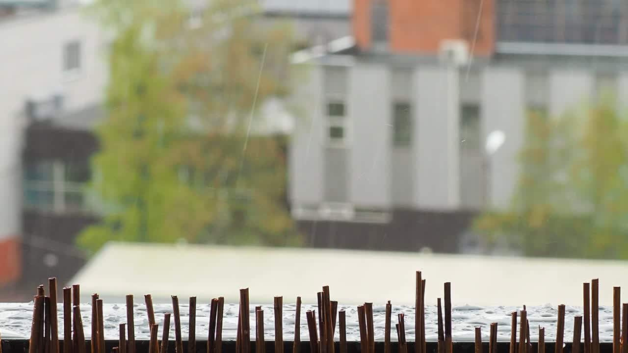 도시에서 비가 오는 날