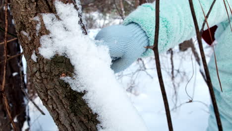 niño sacando nieve del árbol a alta velocidad o en cámara lenta