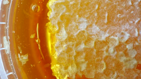 close-up of honeycomb in honey