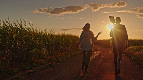 agricultores caminando por el campo de maíz al atardecer