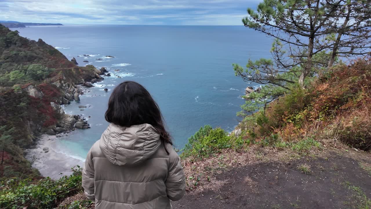 A person stands on a cliff viewpoint facing a rugged coastline and calm blue ocean