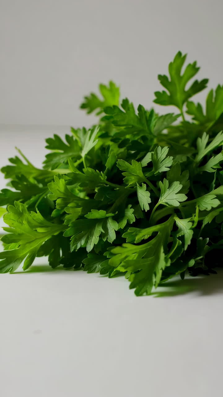 El perejil fresco