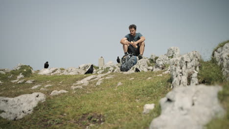 alpine choughs surrounding hiker who is sitting on the rock and eating his sandwich at the top of mountain raduha