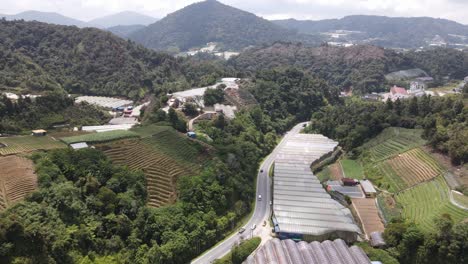 general landscape view of the brinchang district within the cameron highlands area of malaysia