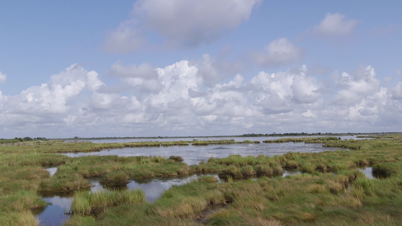 Marshes in Terrebonne Parish in Louisiana, USA