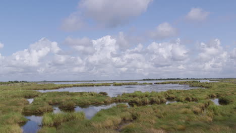 marshes in terrebonne parish in louisiana, usa