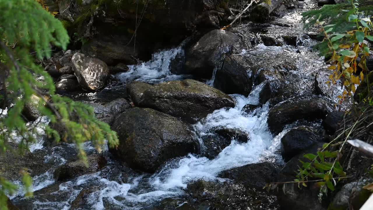 Bjergbæk der løber over flodsten med løv i Colorado, statisk