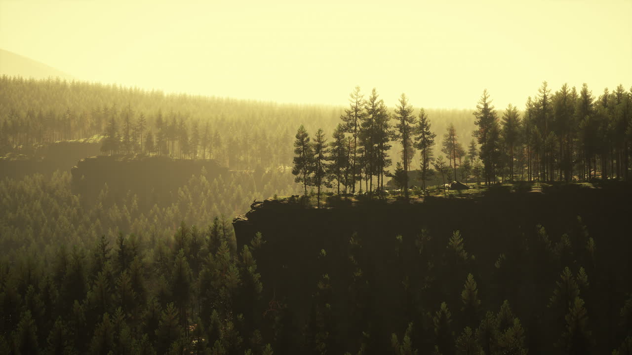 소나무 숲 이 있는 안개 가  ⁇ 인 산악 풍경