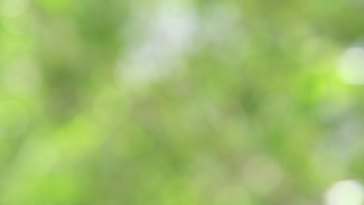 el fondo bokeh colorido. el papel tapiz borroso de negocios. la textura suave y abstracta.