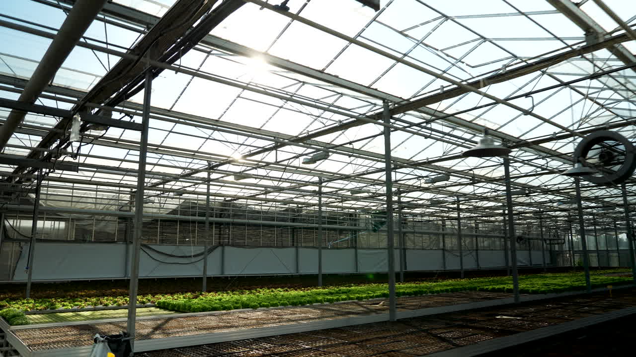 Inside a modern greenhouse with plants and technology