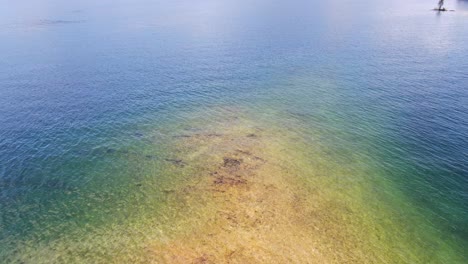 Luftaufnahmen,-Die-Die-Schönheit-Abgestorbener-Bäume-An-Einer-Lebendigen,-Von-Blauem-Wasser-Umgebenen-Küste-Einfangen-Und-Eine-Bezaubernde-Farbmischung-Schaffen