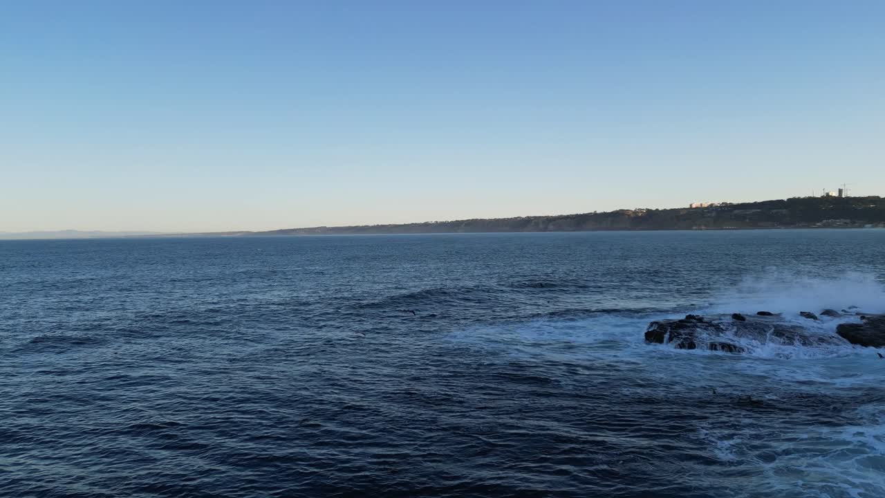 킹 타이드 동안 캘리포니아 라호야의 바위에 충돌하는 서핑에서 놀고 점프하는 바다 사자의 드론 샷을 패닝