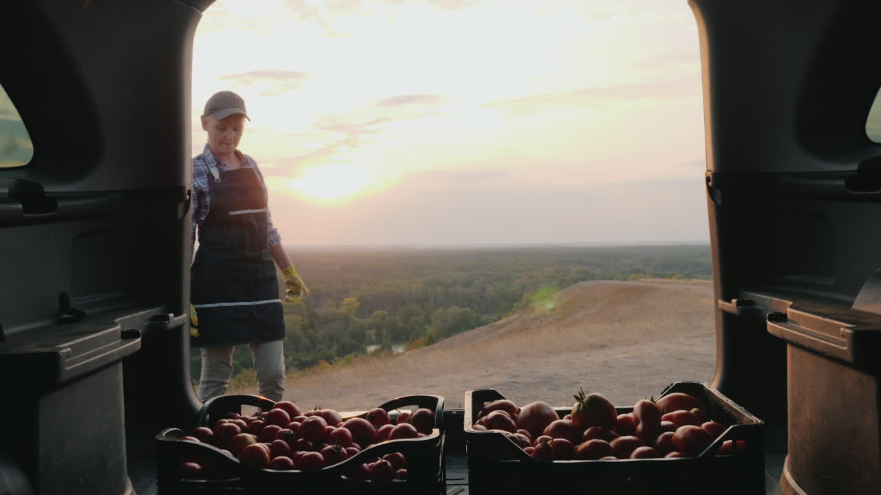 mujer agricultora carga cajas con tomates en el maletero de un coche