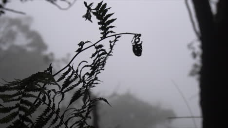 plants blowing in storm, dramatic, 120fps