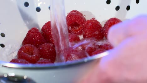 washing raspberries 2