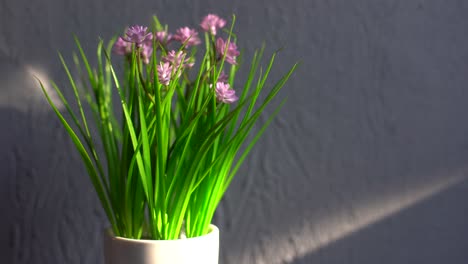 Blumentopf-Auf-Grauem-Hintergrund