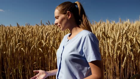 woman in a wheat field