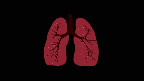 illustration of lungs