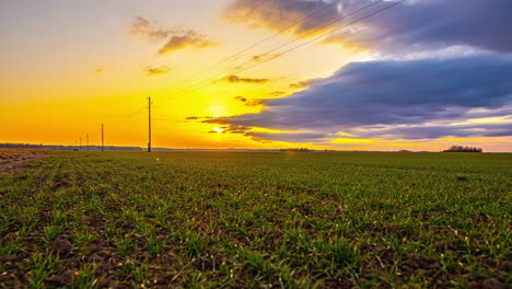 Cultivos-De-Tierras-De-Cultivo-Que-Crecen-Bajo-Un-Lapso-De-Tiempo-De-Paisaje-Nublado-De-Amanecer-Dorado