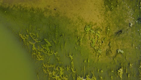 seguimiento de la costa en el ojo de pájaro de una isla