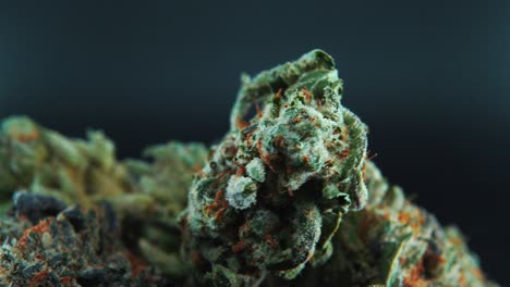 a macro close-up cinematic detailed crispy shot of a cannabis plant, hybrid strains, indica and sativa ,marijuana flower, on a 360 rotating stand, slow motion, 4k, studio lighting