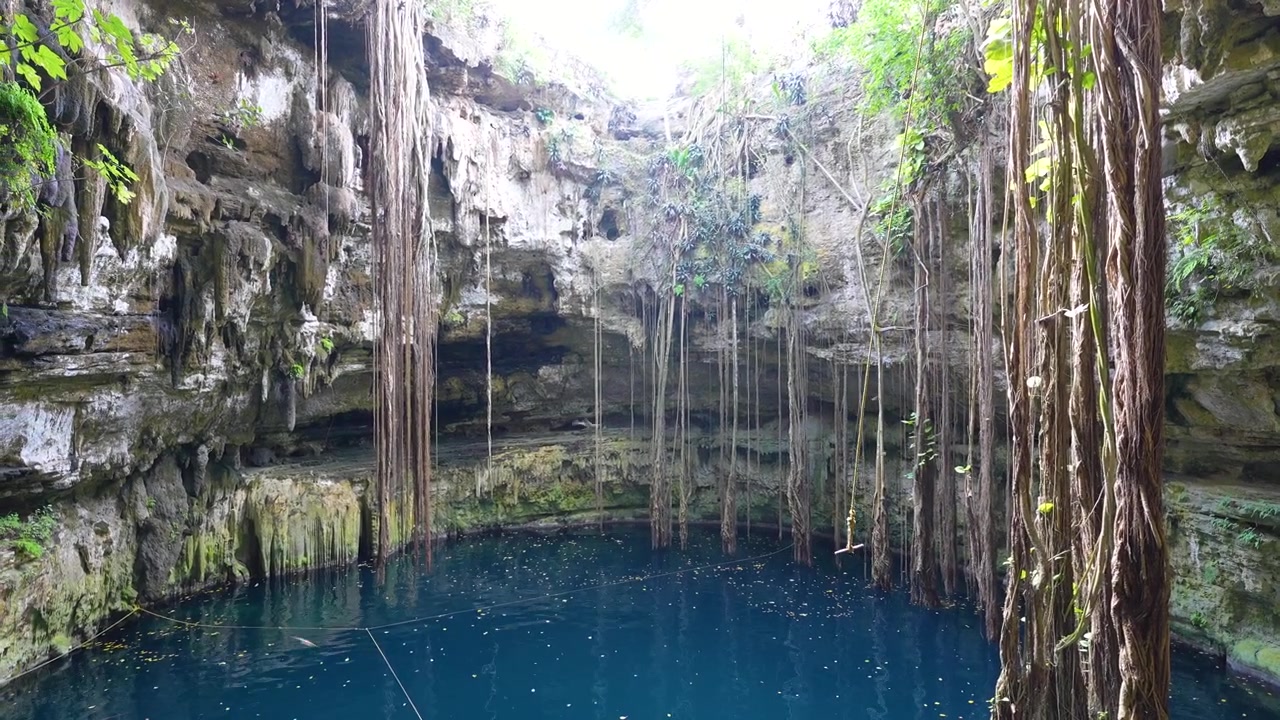 Yucatán, Meksika'daki Oxman Cenote'sinin içinden görünüm.