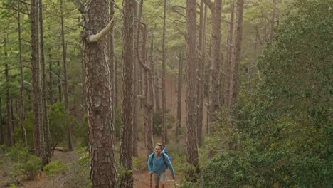 excursionista masculino caminando por el bosque