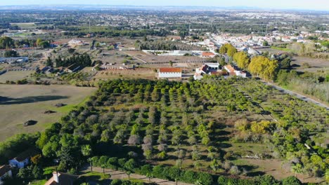 drone que desciende y se inclina hacia un paisaje en alentejo, portugal