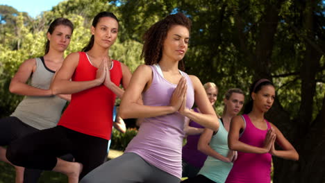 En-Formato-De-Alta-Calidad,-Grupo-De-Fitness-Haciendo-Yoga-En-El-Parque.