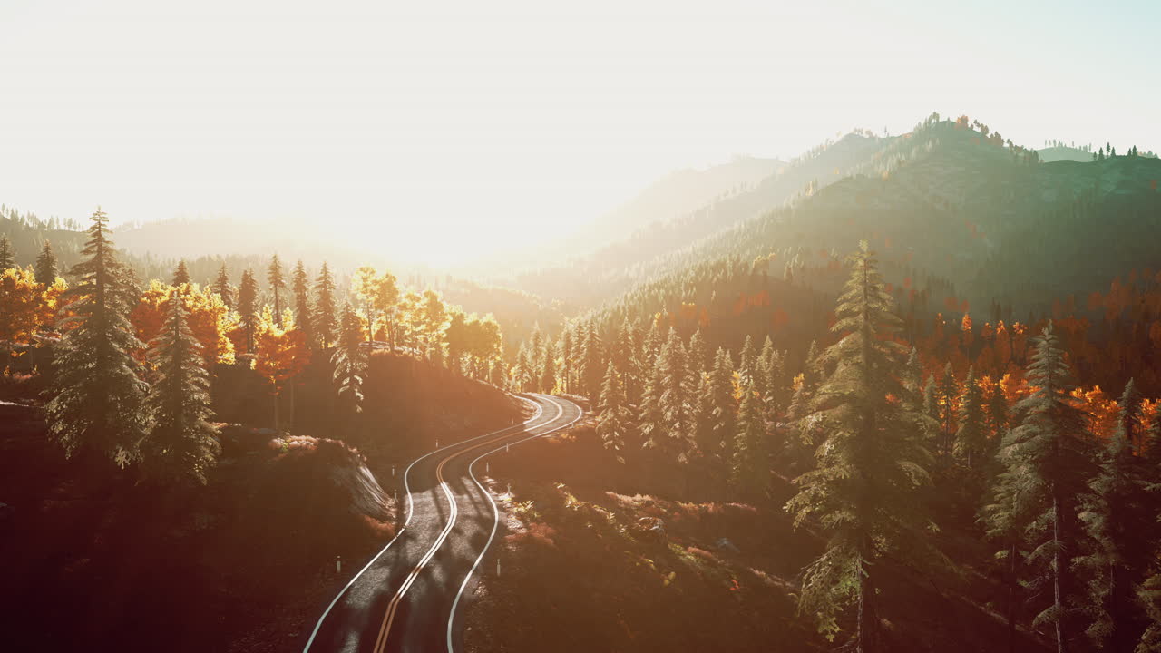 panorámico camino de montaña a través del bosque de otoño