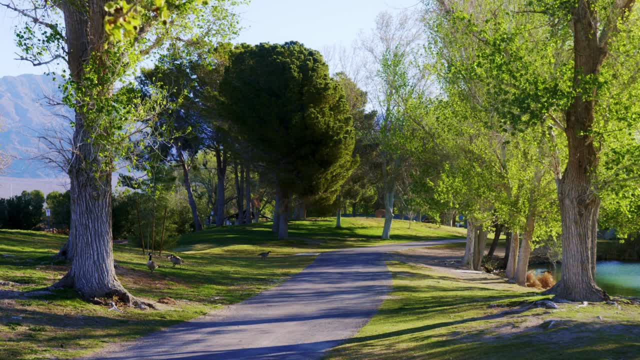 Las Vegas metro park with spring setting and wildlife