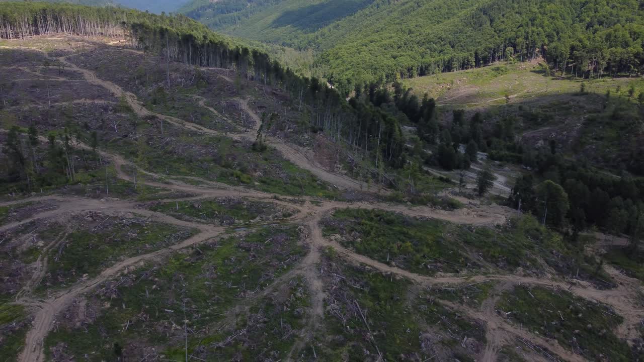 Hill Forest Deforestation in Romania, Central Europe - Aerial drone panning shot