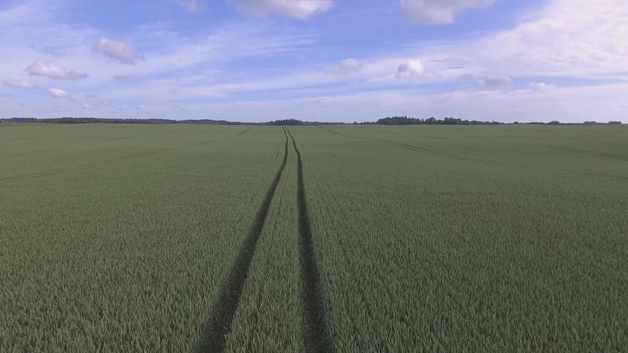Heavy Farm Machinery Tramlines In Green Agricultural Fields On A Cloudy Summer Day. Aerial Low Dolly-Out