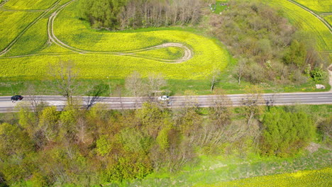 aerial view of rapeseed fields and country road