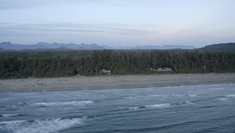 Turistas-En-La-Costa-Arenosa-Con-Densos-Bosques-En-Tofino,-Isla-De-Vancouver,-Columbia-Británica,-Canadá