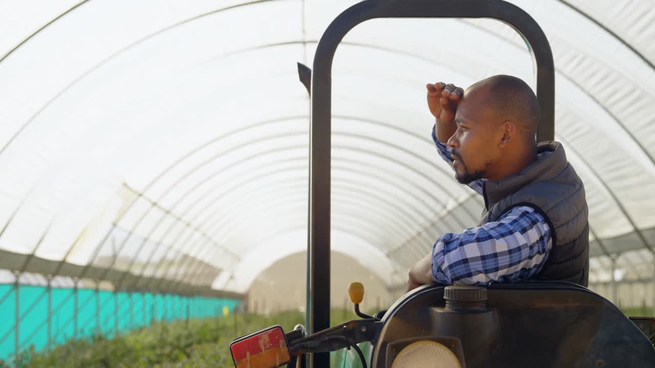 Man sitting on tractor and shielding eyes in blueberry farm 4k