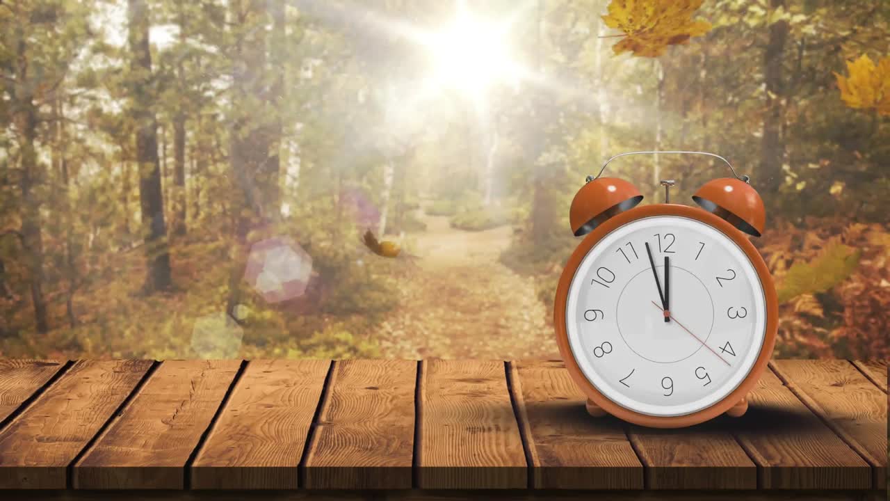 Clock against bright autumn forest 4k