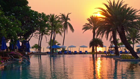 bed pool and umbrella around swimming pool with sunset or sunrise sky