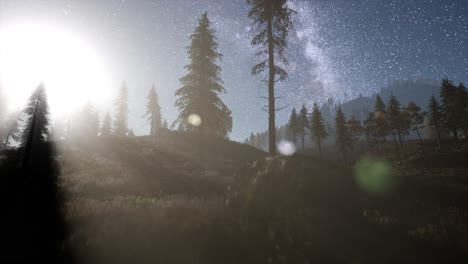 milky way stars with moonlight