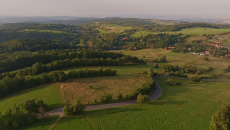 our collection of nature wood forest green stock footage is the perfect way to bring the beauty and tranquility of nature into your video projects