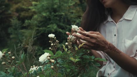 woman smelling white roses in a garden