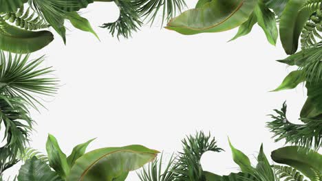 marco de plantas tropicales que se mueven en el viento en una animación de bucle sobre un fondo blanco