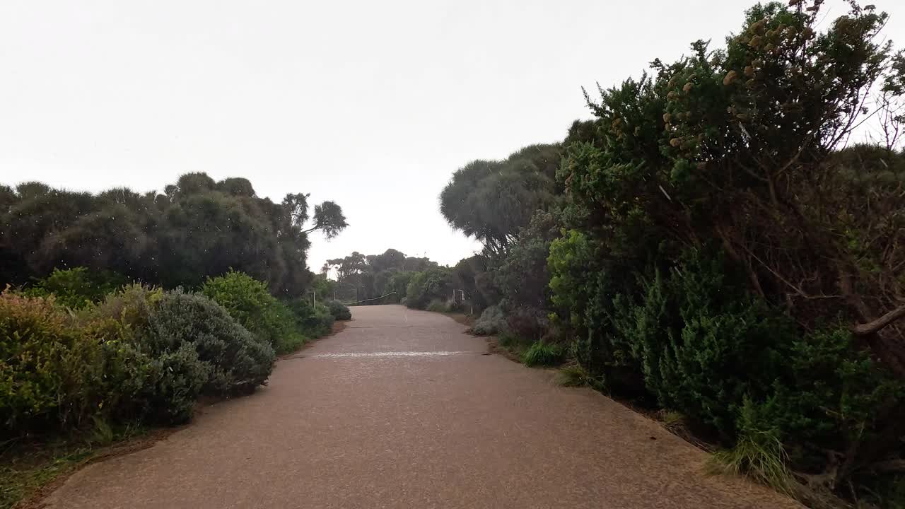 비가 오는 동안 울창한 초록색으로 둘러싸인 길