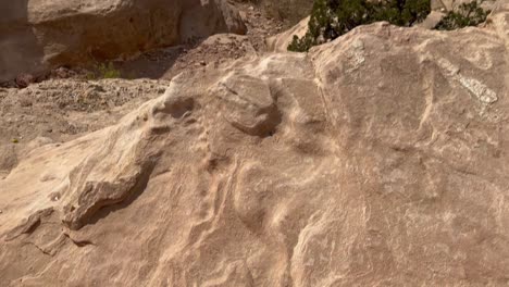 Standing-on-the-edge-of-an-overlooking-cliff-above-Petra,-Jordan