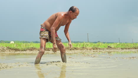 Vista-Frontal-De-Un-Granjero-Indio-De-Alto-Rango-Que-Trabaja-En-El-Campo-Agrícola-Preparando-La-Tierra-Arada-Para-El-Cultivo.